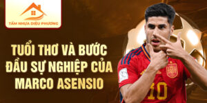 Tuổi thơ và bước đầu sự nghiệp của marco asensio