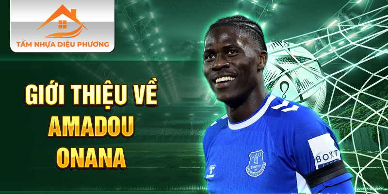 Giới thiệu về Amadou Onana