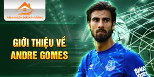 Giới thiệu về andre gomes