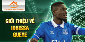 Giới thiệu về idrissa gueye