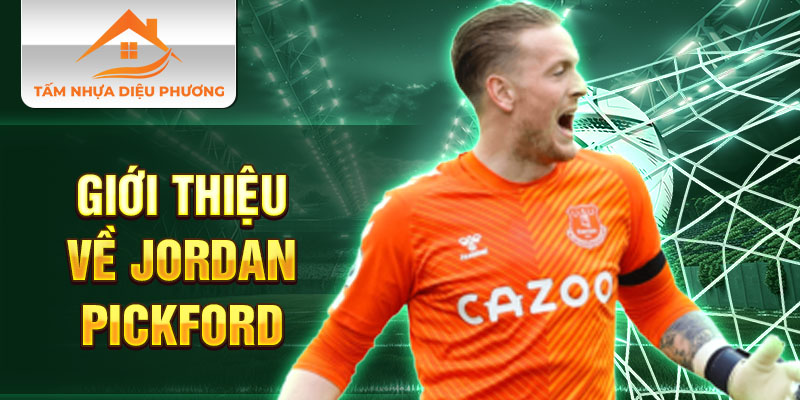 Giới thiệu về Jordan Pickford