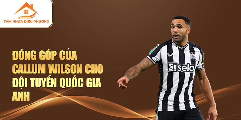 Đóng góp của Callum Wilson cho Đội tuyển Quốc gia Anh