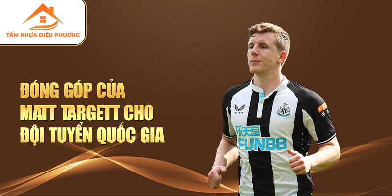 Đóng góp của Matt Targett cho đội tuyển quốc gia